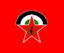 upload_wikimedia_org_wikipedia_en_thumb_c_c4_DFLP_flag.png_250px-DFLP_flag.png