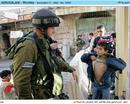 _coalitionforpalestine_org_Hebron_child_abuse.jpg