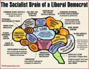 _conservapedia_com_images_thumb_f_fb_Liberal_Brain.jpg_350px-Liberal_Brain.jpg