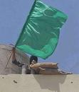 camelsnose_files_wordpress_com_2007_07_palestine-green-flag-gaza.jpg