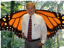 _micahnelson_com_wp-content_uploads_2007_08_political-butterfly.png