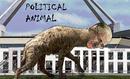 _sangrea_net_free-cartoons_polit_political-animal.jpg