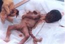 _animal-cruelty_com_abortion1.jpg