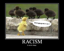 media_ebaumsworld_com_picture_vampdyer_RACISM.png