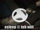 icanhascheezburger_wordpress_com_files_2008_06_funny-pictures-sleeping-wii-wheel.jpg