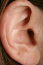 _dyinggiraffe-recordings_com_images_ear.jpg